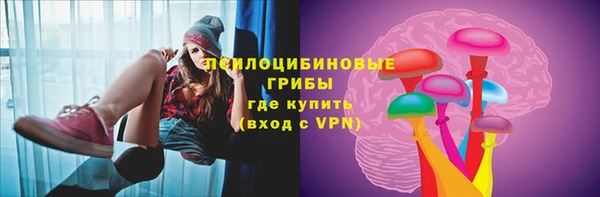 СК Алзамай