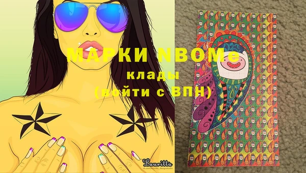 сатива Аркадак